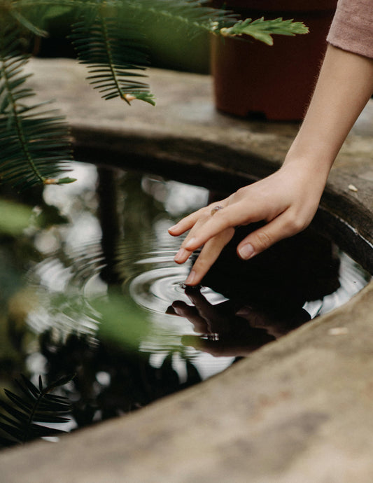 What to Look for in a Koi Pond Company in New Jersey